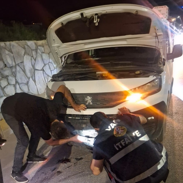 Van'da kamyonetin çarptığı köpeği kurtardı