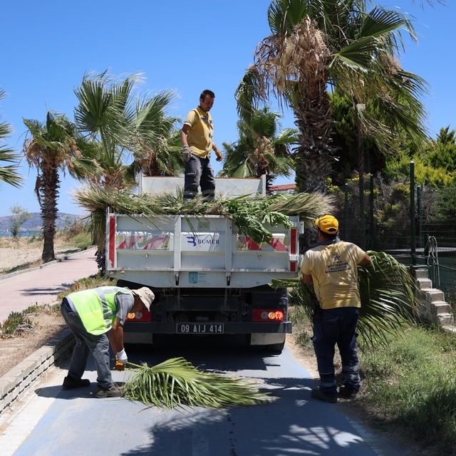 Kuşadası'nda yeşil alanlarda kapsamlı bakım ve düzenleme çalışması