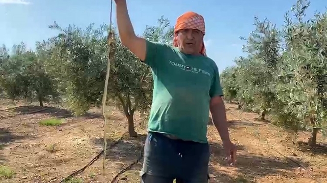 'Yılanı öldürdüm' deyip çektirdiği video pahalıya mal oldu: 22 bin TL ceza yedi
Eliyle havaya kaldırıp 'Öldürdüm' dediği yılan koruma altında olduğu için ceza gelince 'Öldürmedim' diyen Bülent Nehoş:
"Zır cahilim. Ceza geldikten sonra gözüme uyku girmiyor. Affedilmek istiyorum. Bundan sonra yılan gelip soksa da, devlet versin onun cezasını"