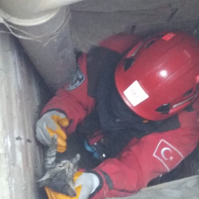 Burhaniye'de boruda sıkışan kedileri itfaiye kurtardı