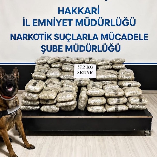 Hakkari'de 57 kilo 200 gram skunk ele geçirildi