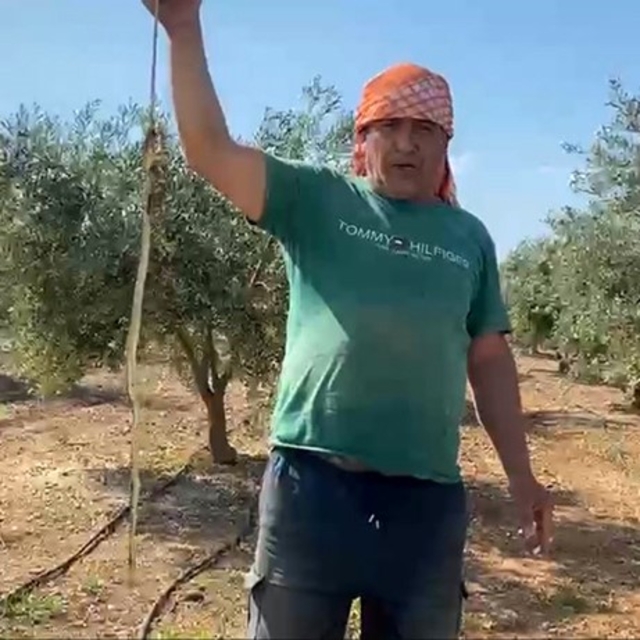 'Yılanı öldürdüm' deyip çektirdiği video pahalıya mal oldu: 22 bin TL ceza...