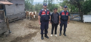 Hayvanlarını kaybeden çiftçinin yardımına Jandarma ekipleri koştu