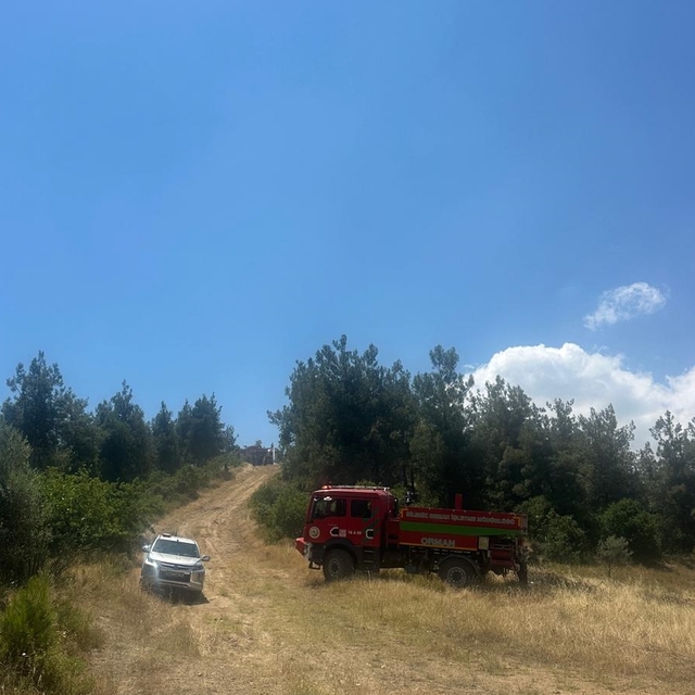 Bilecik'te çıkan orman yangını kontrol altına alındı