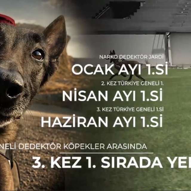 Narkotik köpeği 'Jardi' üçüncü kez zirvede