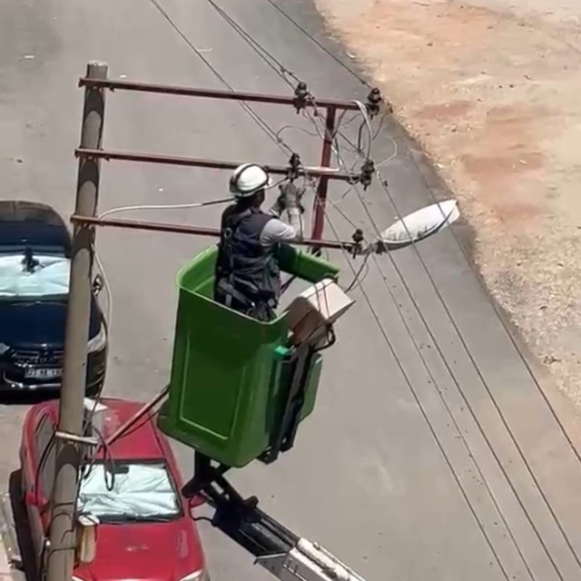 Elektrik tellerine takılan kuş kurtarıldı
