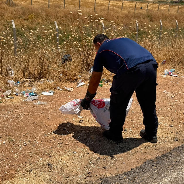 Mardin'de evin bahçesine giren yılan itfaiye ekiplerince yakalandı