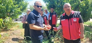 Çanakkale'de bitkisel üretim projeleri değerlendirildi
