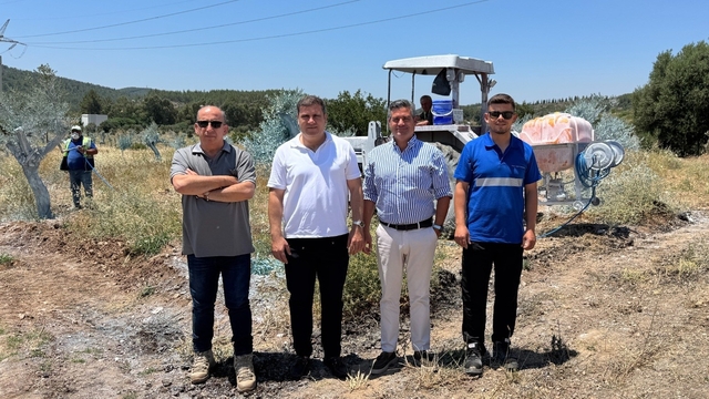 Zeytinler büyüyor, Milas kazanıyor
Taşınan zeytin ağaçlarının bakımında yerel istihdam ve tedarik modeli bölge ekonomisine katkı sağlıyor