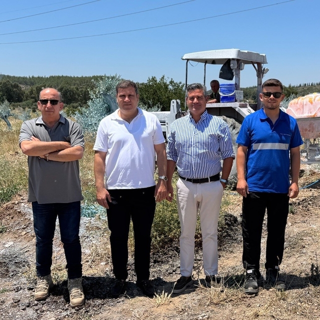 Zeytinler büyüyor, Milas kazanıyor
Taşınan zeytin ağaçlarının bakımında yer...