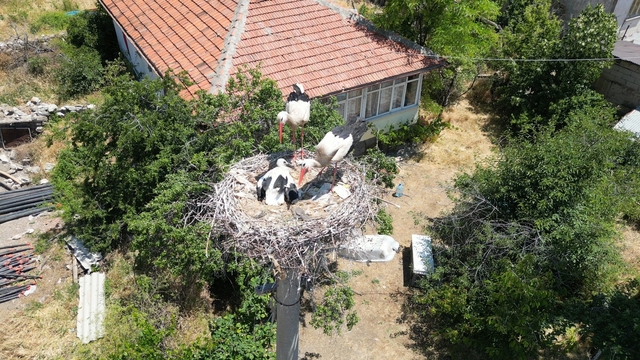 Galeri