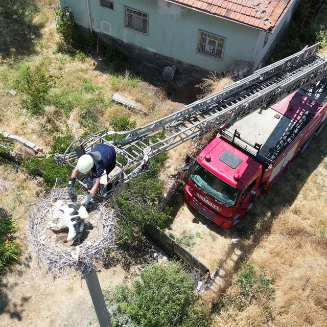 Yuvasında ayağına ip dolanan yavru leyleğe itfaiye yardımı
