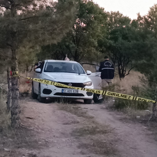 Ormanda bir kişiyi yaraladıktan sonra kaçarken TIR'ın çarptığı şüpheli öldü...