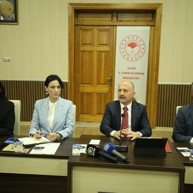Aydın'da kuru incirin üretim ve ihracatı değerlendirildi