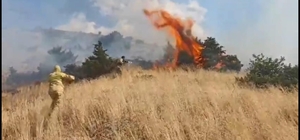 Bingöl'de ormanlık alanda çıkan örtü yangını söndürüldü