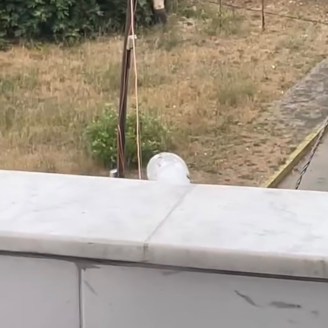 Tartıştığı amcasını palayla öldürdü