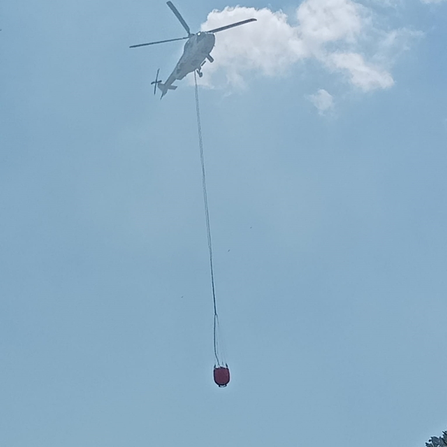 İzmir'de ormanlık alanda çıkan yangın söndürüldü