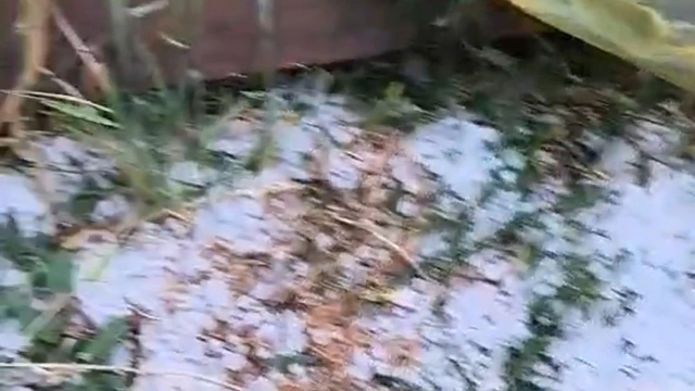 Edirne'de dolu yağışı etkili oldu