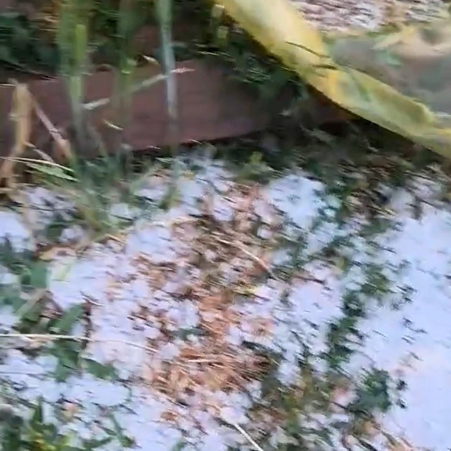 Edirne'de dolu yağışı etkili oldu