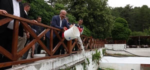 Ayazma Deresi'ne 50 bin kırmızı benekli alabalık yavrusunu bırakıldı