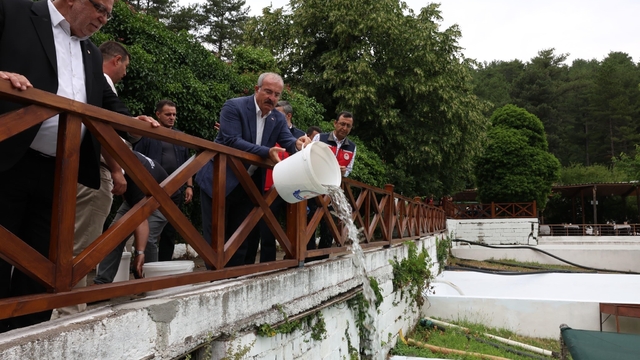 Ayazma Deresi'ne 50 bin kırmızı benekli alabalık yavrusunu bırakıldı