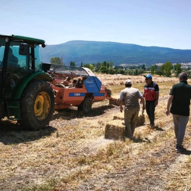 Kütahya Köprüören köyünde yem bezelyesi demonstrasyonunda hasat tamamlandı