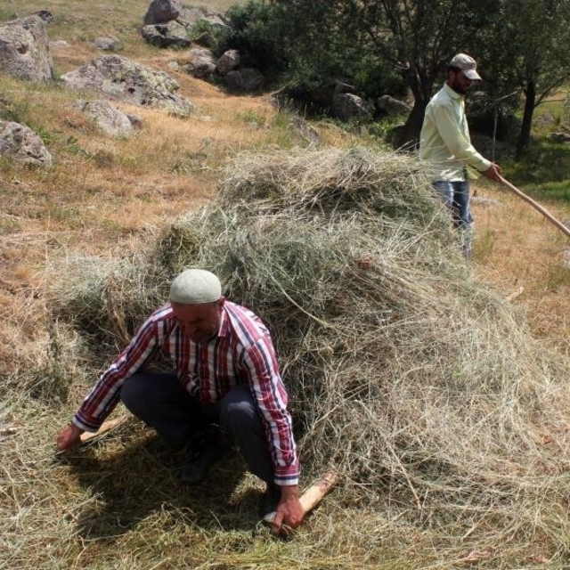 Erzincan'da vatandaşların kış hazırlığı