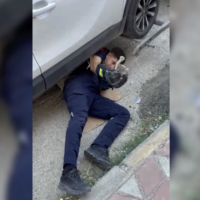 Otomobilin motor kısmına giren yavru kediyi itfaiye kurtardı