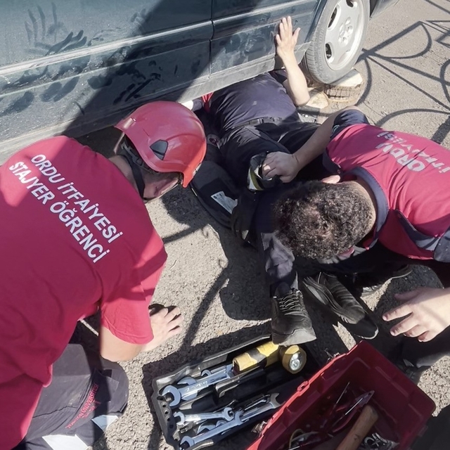 Ordu'da otomobilin egzoz muhafazasına sıkışan yavru kedi kurtarıldı