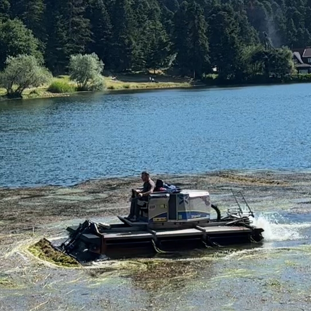 Bolu'nun doğa harikası Gölcük Tabiat Parkı'nın göl yüzeyi temizleniyor