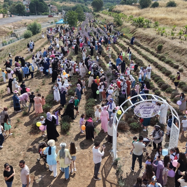 Lavanta kokuları eşliğinde hasat yaptılar