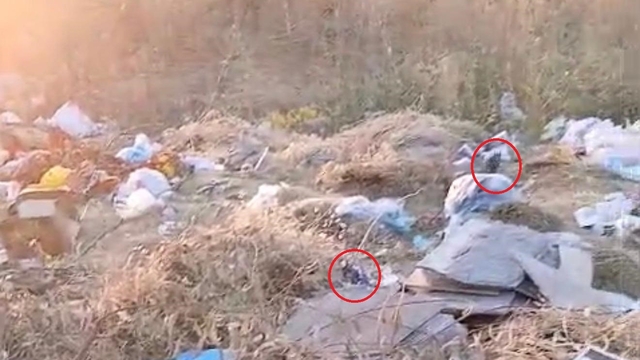 Diyarbakır'da boş arazideki çöpler fare yuvasına döndü