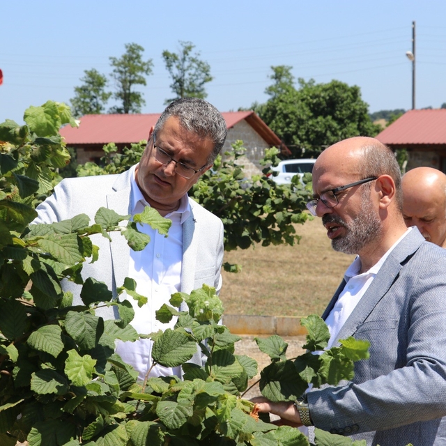Samsun'da tarımsal üretim çalışmaları yerinde incelendi