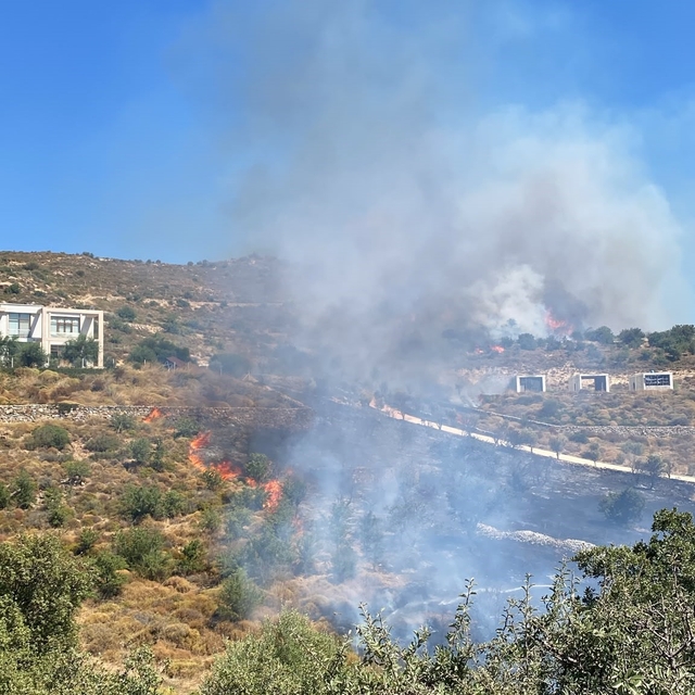 Bodrum'da makilik yangını