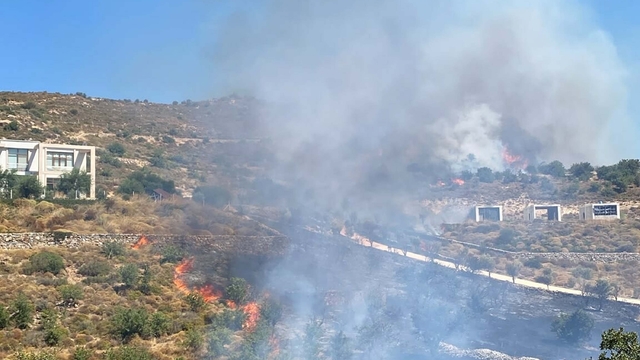 Bodrum'da otluk ve makilik alanda yangın