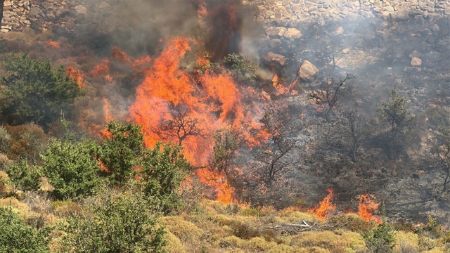 Bodrum'da otluk ve makilik alanda yangın (2)