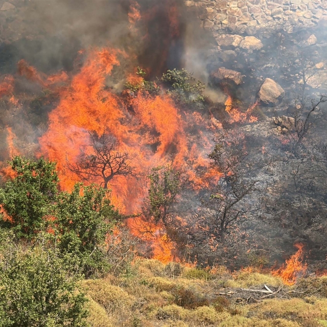 Bodrum'da otluk ve makilik alanda yangın (2)