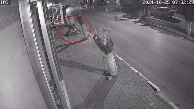 Takıntılı takip vahşetinde flaş karar: Serbest kalan saldırgana yeniden tutuklama yolu
Genç kızı sokak ortasında bıçaklamıştı, serbest kalan sanık için yeniden yakalama emri çıkarıldı