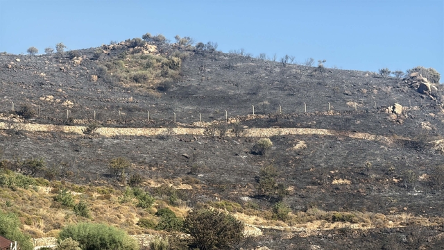 Bodrum'da otluk ve makilik alanda yangın (3)