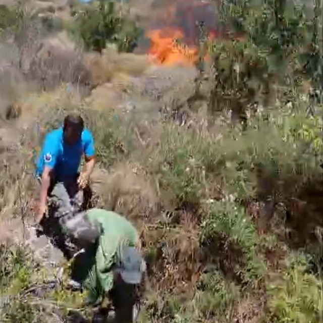 Bodrum'da otluk ve makilik alanda yangın (4)