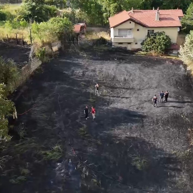 Jandarma, alevlerin arasındaki kaplumbağa ve yavrularını kurtardı
Karabük't...