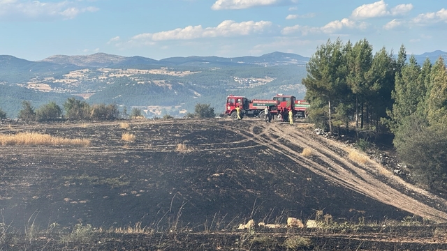 Uşak'ta ormanlık alana sıçrayan yangın söndürüldü
