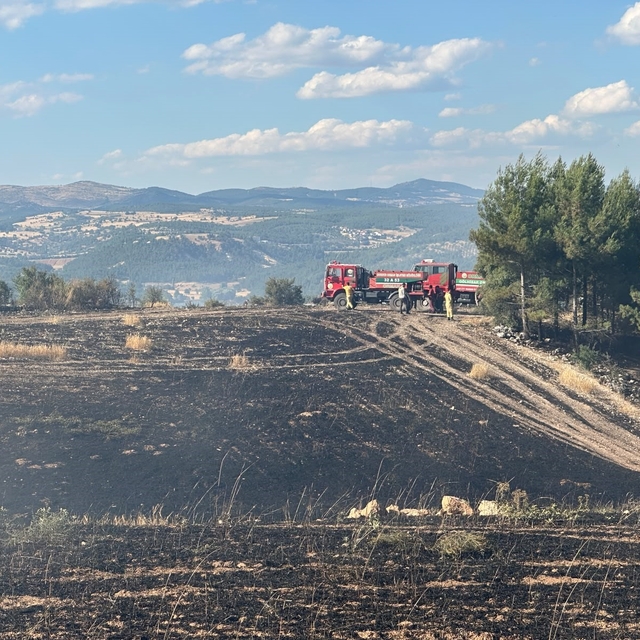 Uşak'ta ormanlık alana sıçrayan yangın söndürüldü
