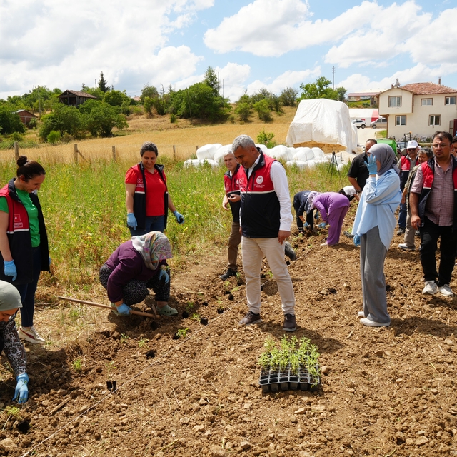 Üniversite serasında üretiliyor: Çiftçilerin geliri aromatik bitkilerle art...