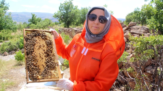 Kanserle mücadelesinde faydalı olduğunu öğrendiği arıcılık Zehra'nın mesleği oldu