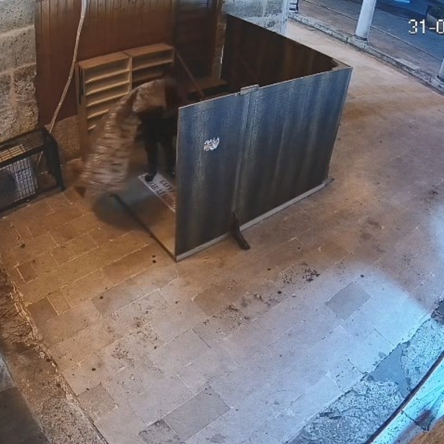 Camideki halıyı çalan şüpheli tutuklandı