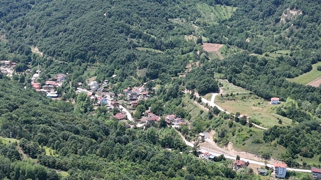 Galeri