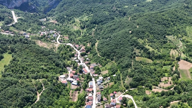 Galeri