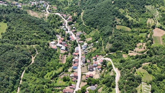 Galeri