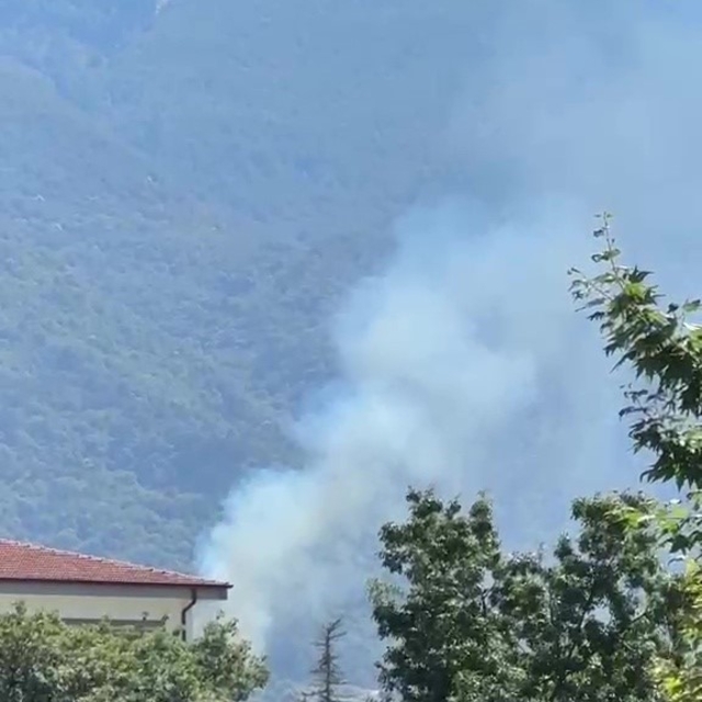 Kestel'de orman yangını